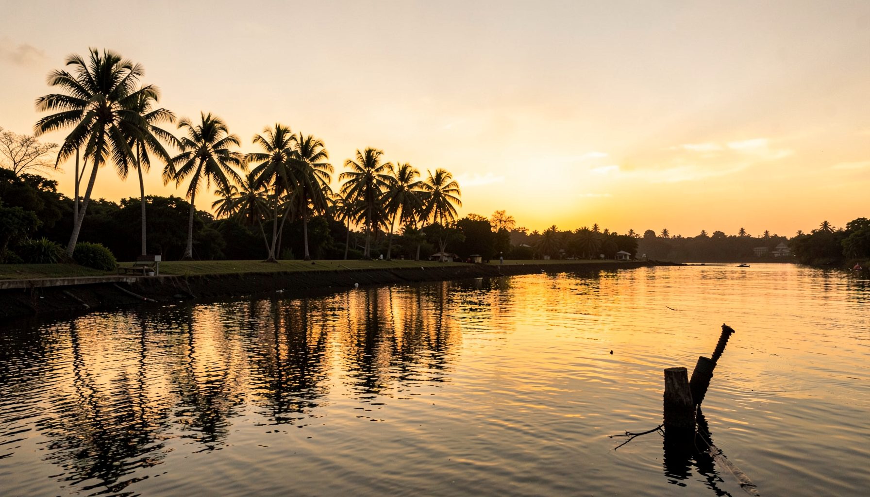 Warm golden evening light over a calm Goan riverside with palm trees silhouetted against the sky